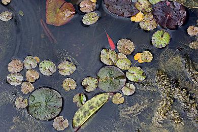 像素风动作冒险游戏《诅咒岛》上线steam 支持中文